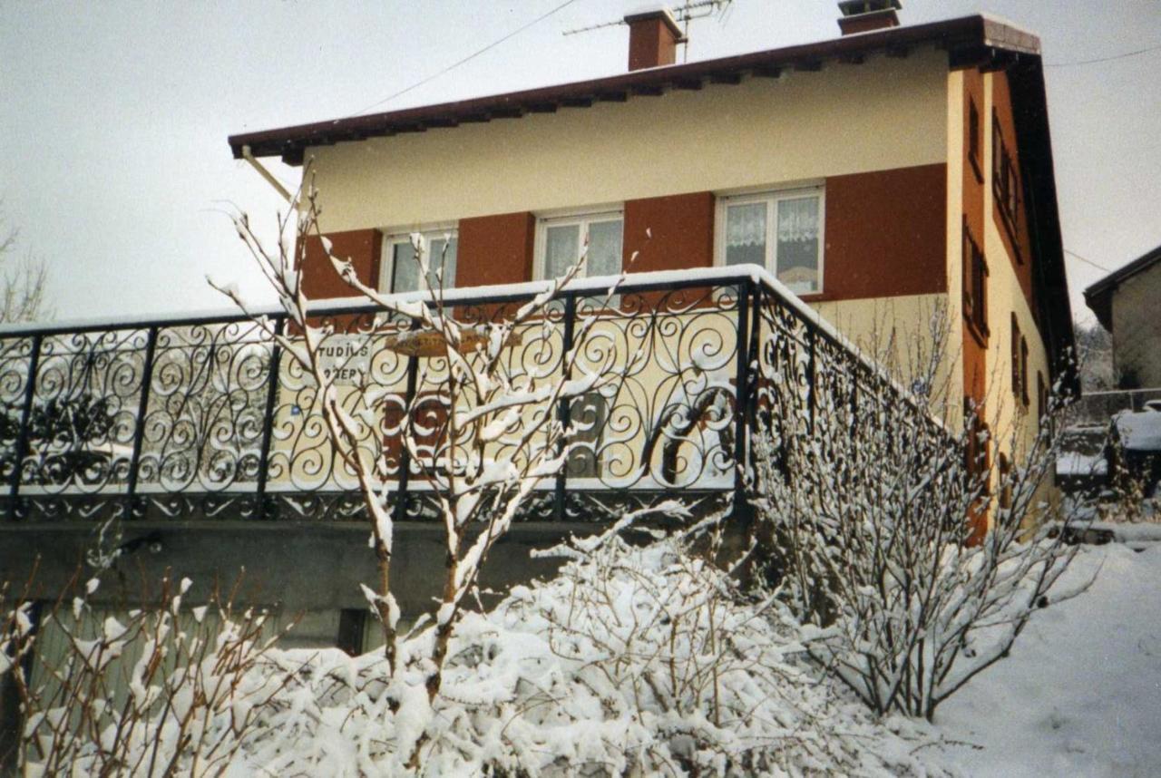 Studio Cosy Avec Vue Sur Lac Et Montagne A Gerardmer 30 M² Exterior photo