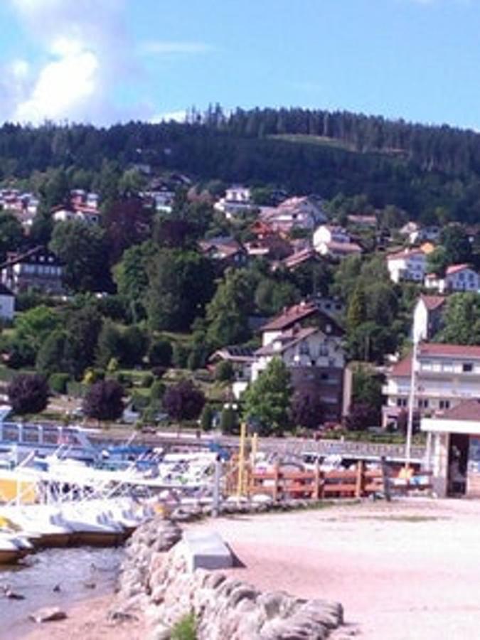 Studio Cosy Avec Vue Sur Lac Et Montagne A Gerardmer 30 M² Exterior photo